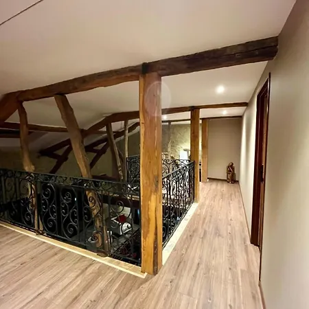 Domaine De Pourrouquet - Demeure De Charme Et בית נופש ויק-פזנסאק