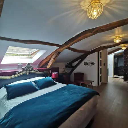 Domaine De Pourrouquet - Demeure De Charme Et * ויק-פזנסאק