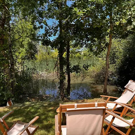 Domaine De Pourrouquet - De Charme En Pleine Nature Avec Piscine