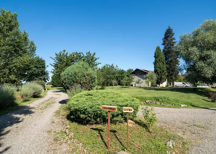 Domaine De Pourrouquet - De Charme Avec Piscine Et Calme Absolu En Pleine Nature Prázdninový dům *